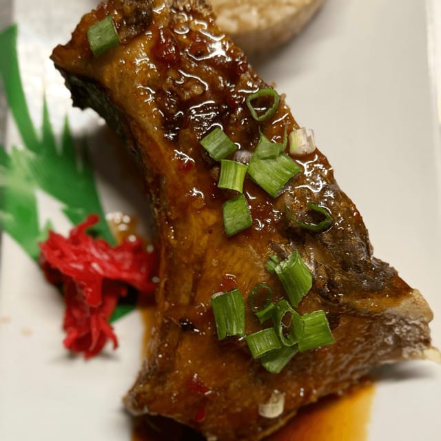 Blue Fin Tuna Collar.